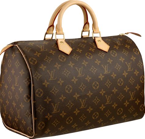 louis vuitton tasche transparent